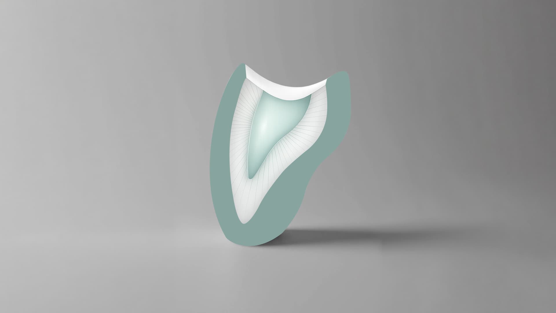 Anatomical tooth structure frame 3 for One Day Veneers preparation in Seoul